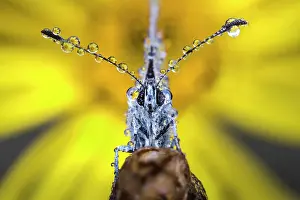 Humidity: dew on the antennas