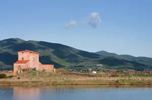 Giacomo Radi: Diaccia Botrona Nature Reserve