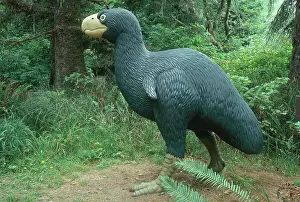 Replica: Diatryma