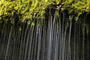 Veil: Dietfurter Schleierfall, waterfall in the Wutach