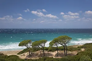 Torre: DIG, Geografie, Italien, Sardinien, Torre Delle