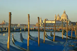 Canal: DIG, geography / travel, Italy, Gondolas moored