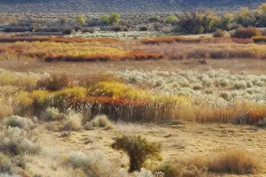 Owens: DIG, geography / travel, USA, California, Owens