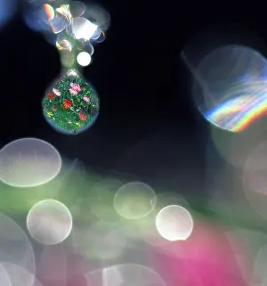 Composite: Digital composite abstract of dew drops