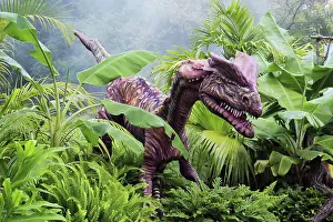 Replica: Dilophosaurus