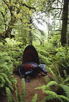 Replica: Dimetrodon