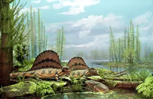 Representation: Dimetrodons in Permian Scene