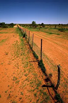 Dingo: Dingo fence border of New South Wales and Queensland