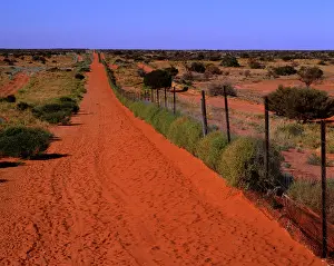 Corner: Dingo fence near Camerons Corner