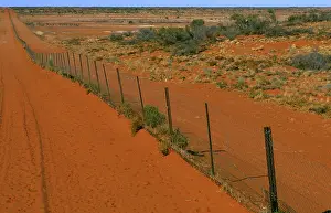 Sturt: Dingo fence Sturt National Park