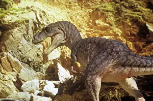 Models: Dinosaur - Albertosaurus - hunting