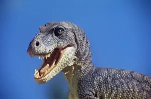 Models: Dinosaur - Albertosaurus liberatus - against a blue sky