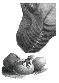 Drawing: Dinosaur with Eggs