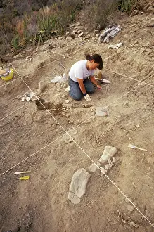 Palaeontologist: DINOSAUR - Excavating a Hadrosaur skeleton fossil