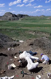 Excavations: Dinosaur excavation - In the badlands of South