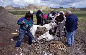 Lift: Dinosaur excavation - a group of paleontologists