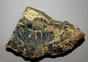 Droppings: Dinosaur Feces