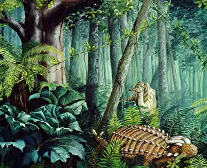 Heavily: Dinosaur Illustration - Anklyosaurus - family Anklyosauridae
