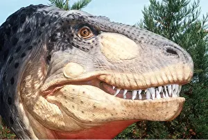 Model: Dinosaur Reconstruction - Tyrannosaurus Rex model