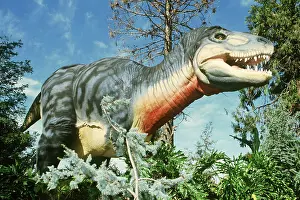 Model: Dinosaur Reconstruction - Tyrannosaurus rex model