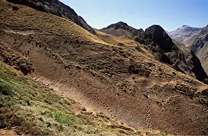 Dinosaur: DINOSAUR - Sauropod Tracks