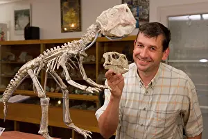 Palaeontologist: Dinosaur Skeleton - Paleontologist / Palaeontologist