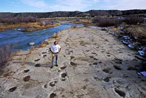 University: Dinosaur tracks - Dr. Martin Lockley, geologist