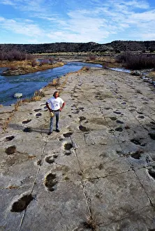 University: Dinosaur tracks - Dr. Martin Lockley, geologist