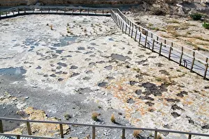 Trackway: Dinosaur tracks, New Mexico