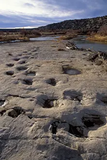 Trackway: Dinosaur tracks - Trackway of Apatosaurus (Brontosaur)