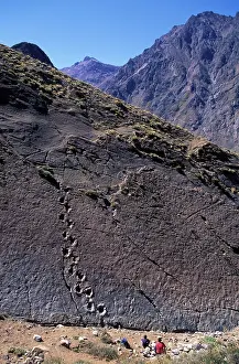 Trackways: Dinosaur trackways - Chile