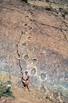 Sauropod: Dinosaur trackways - Chile