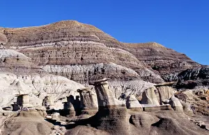 Excavations: Dinosaur Valley - Horseshoe Canyon Formation, cretaceous