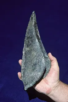 Armored: Dinosaurs - Ankylosaurs - Armored dinosaurs
