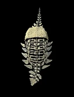 Armored: Dinosaurs: Ankylosaurs (Armored dinosaurs)