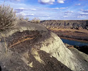 Boundary: Dinosaurs - Geology: the Cretaceous - Tertiary