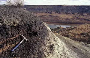 Boundary: Dinosaurs - Geology: the Cretaceous-Tertiary boundary