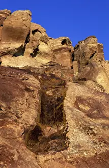 Diplodocus: Dinosaurs - Imprint of a Diplodocus femur