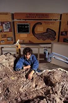 Archaeologist: Dinosaurs - paleontologist Lynett Gillette examines