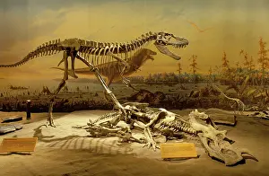 Theropods: Dinosaurs - Theropods