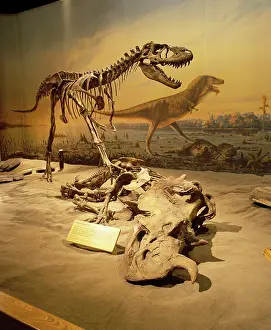 Theropods: Dinosaurs - Theropods