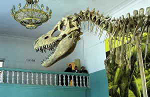 Dinosaurs - Theropods: Tarbosaurus