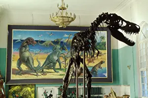 Tyrannosaurus: Dinosaurs - Theropods: Tarbosaurus