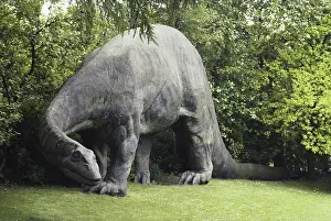 Replica: Diplodocus carnegii