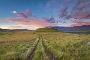 Giants: Dirt road in field at Giants Castle Nature Reserve