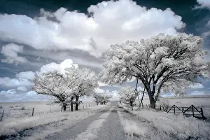 Infrared: Dirt road in the Flint Hills of Kansas