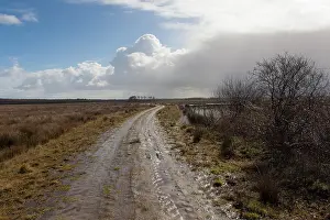 Drentsche: Dirt track with rainclouds