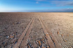 Cracked: Dirt track over the salt pans of Makgadikgadi, Kubu
