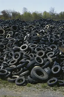 Discarded: Discarded Auto Tires