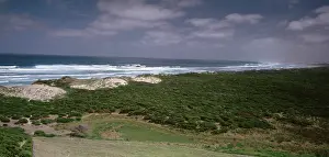 Discovery: Discovery Bay Coastal Park, southwestern Victoria, Australia